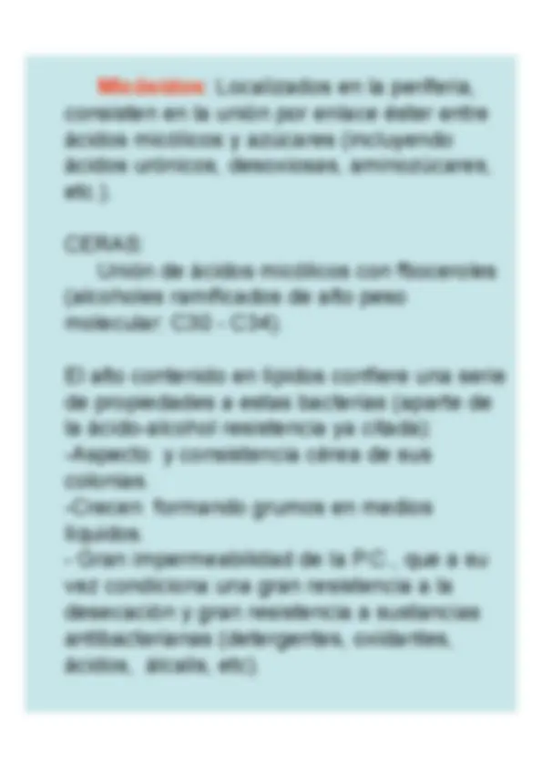 pf19