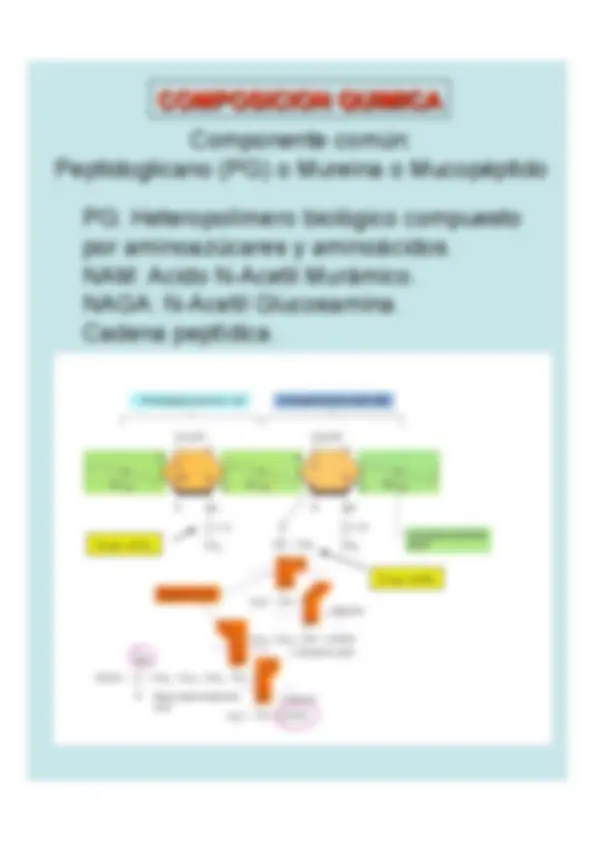 pf5