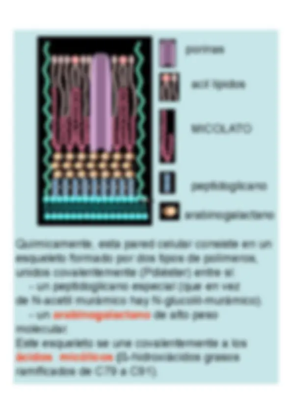 pf16