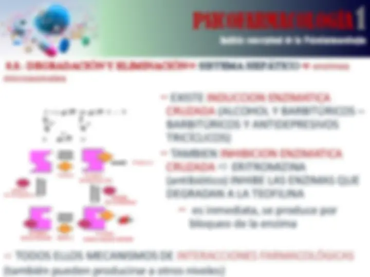 pf13