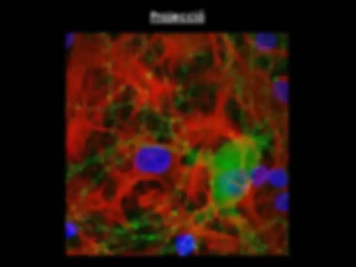 pf22