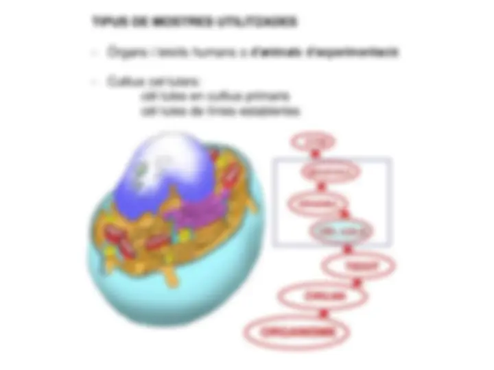 pf3