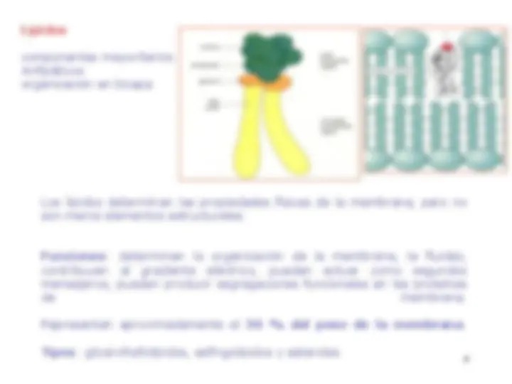 pf4