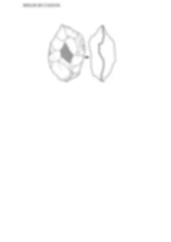 pf4