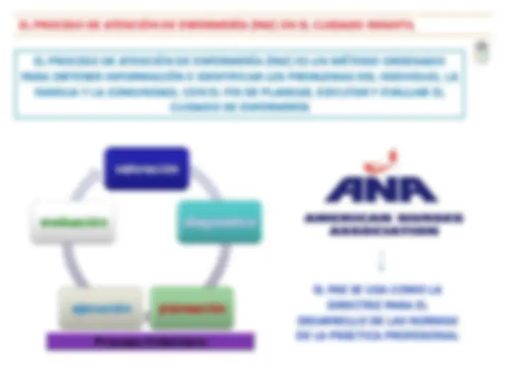pf58