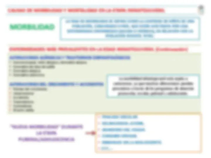 pf48