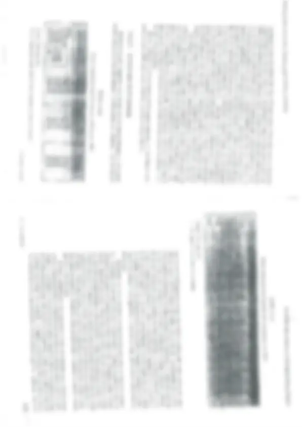 pf8