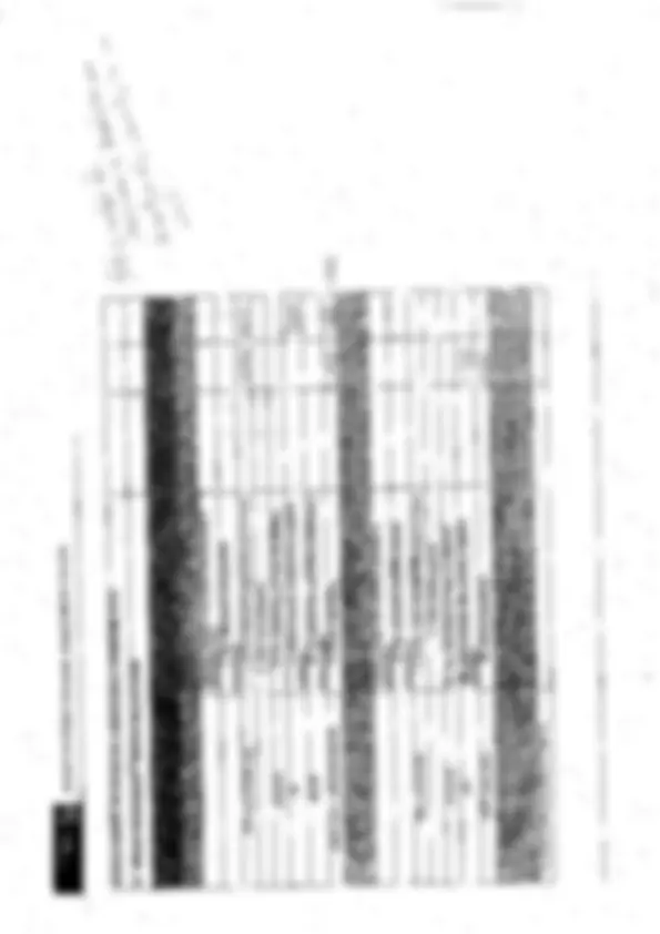pf26