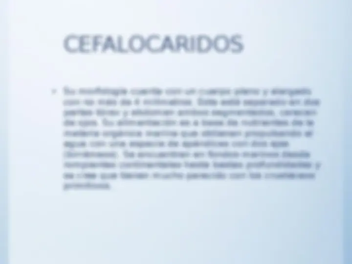 pf18