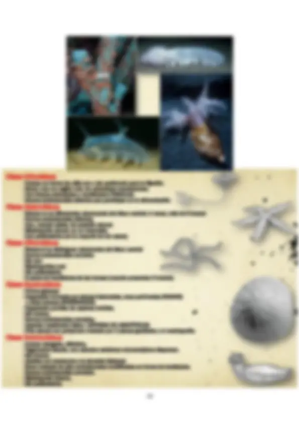 pfa