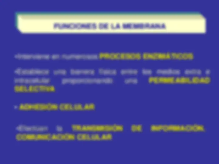 pf21