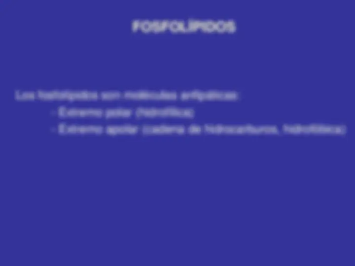 pf8