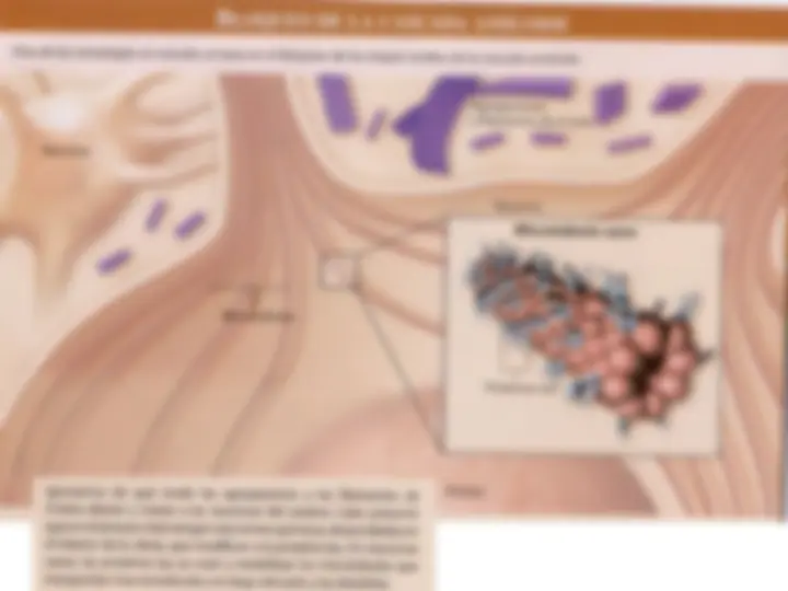 pf2a