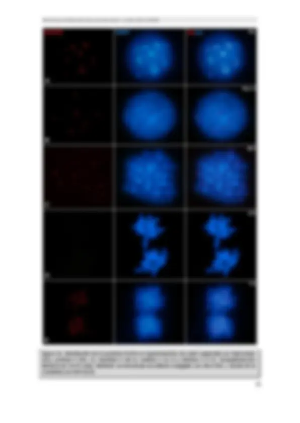 pf1f