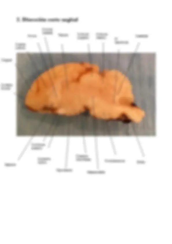 pf2