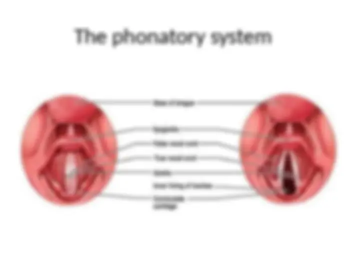 pf15