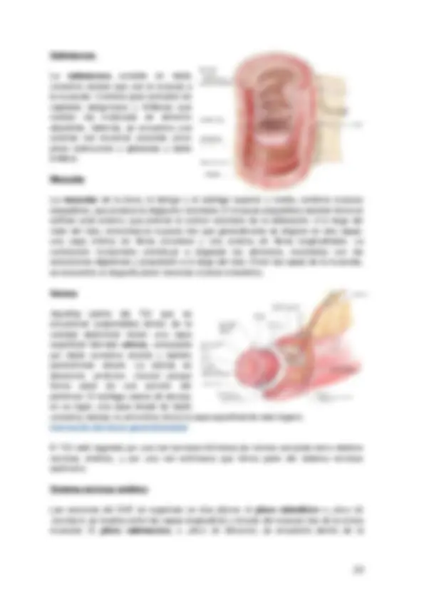 pf14