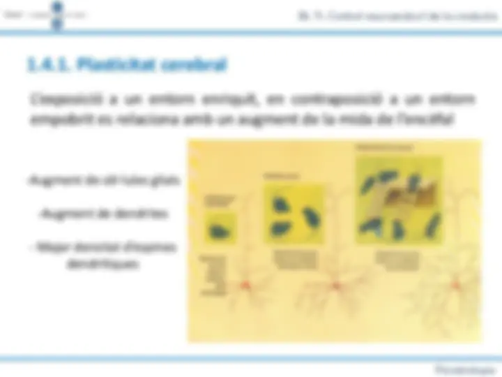 pf19