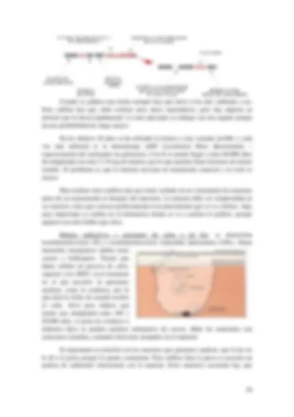 pf3d