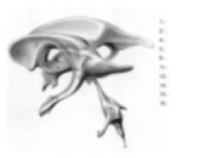 pf1f