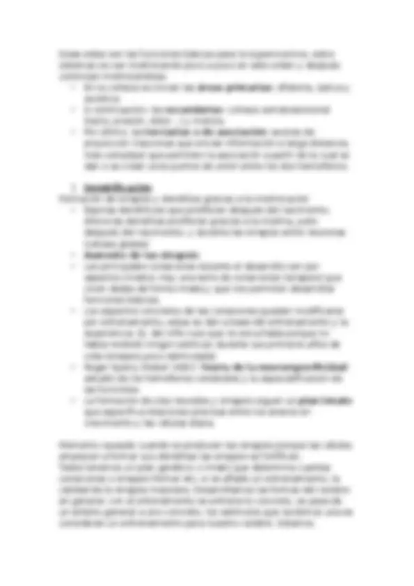 pf24