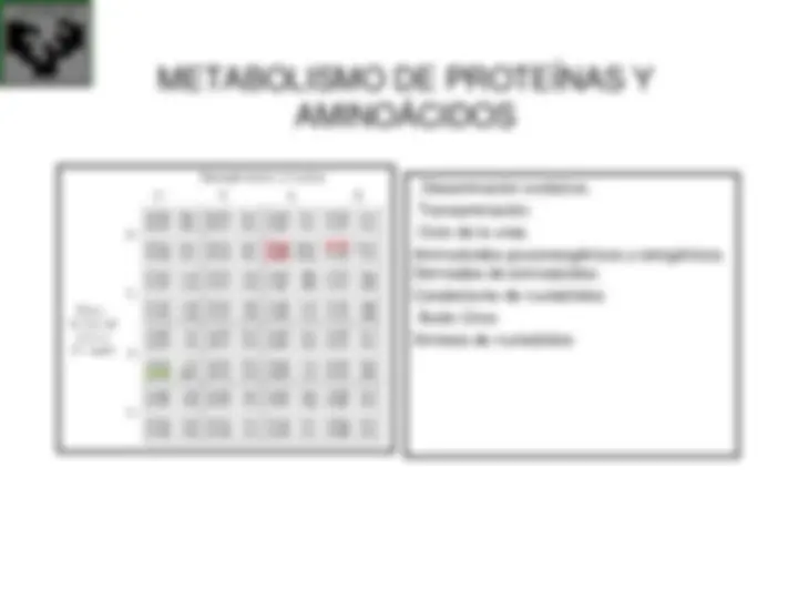 pf1b
