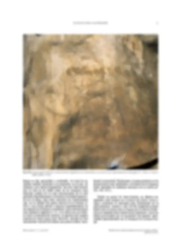 pf23