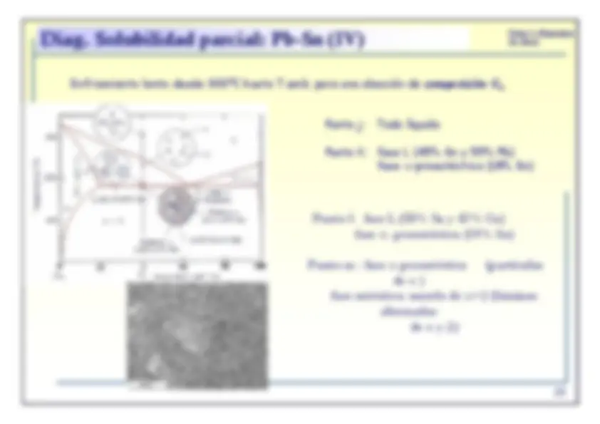 pf19