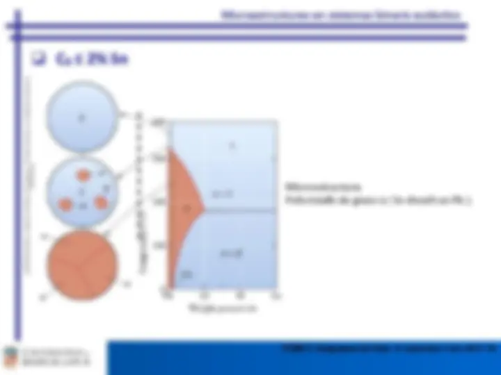 pf14