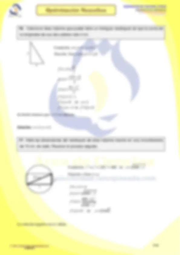 pf31