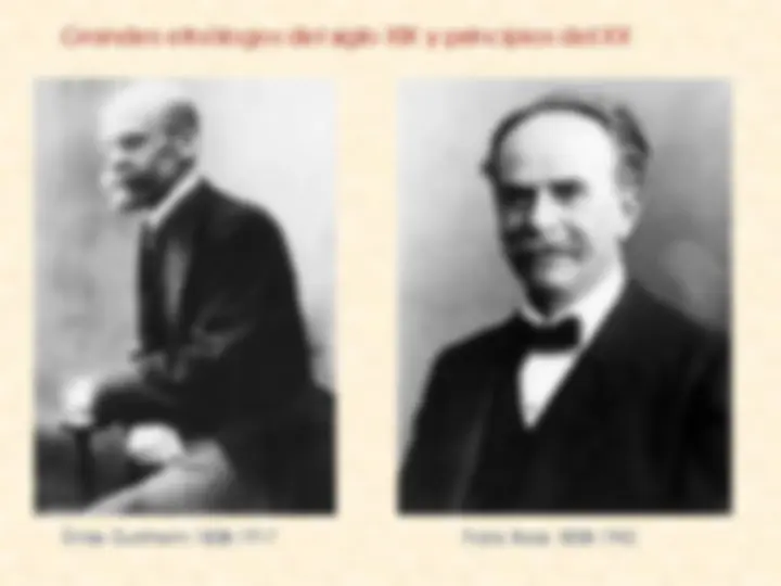 pf24