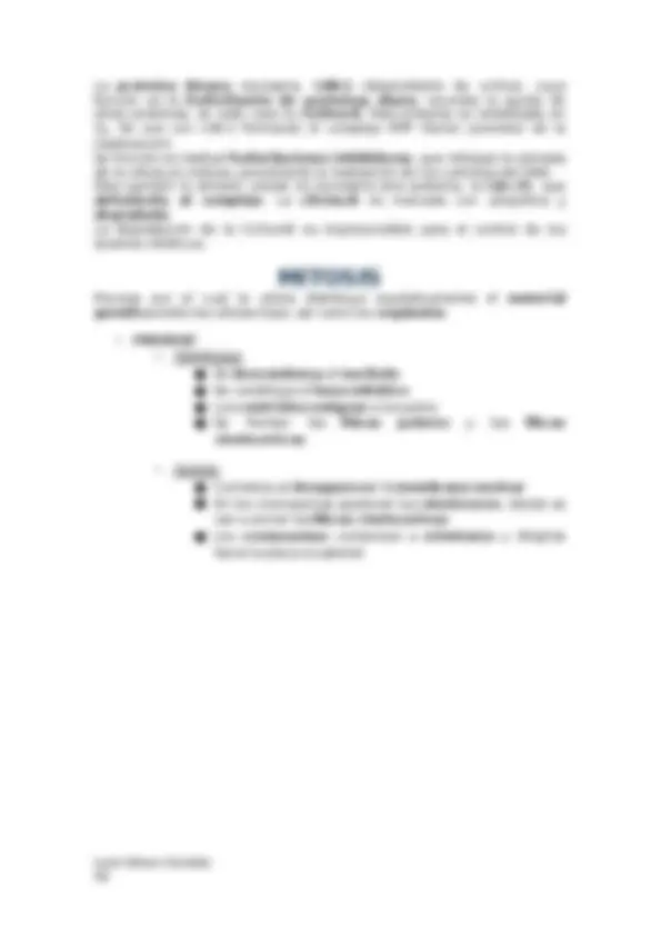 pf31