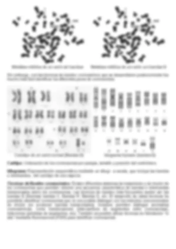 pf13