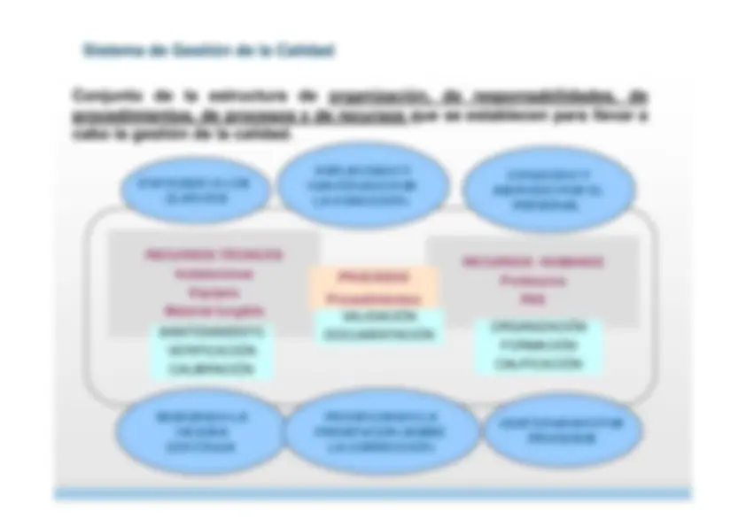 pf1e