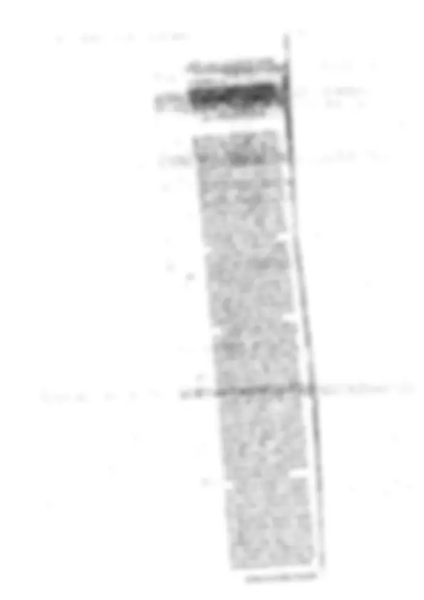 pf13