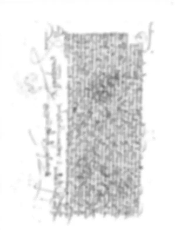 pf20