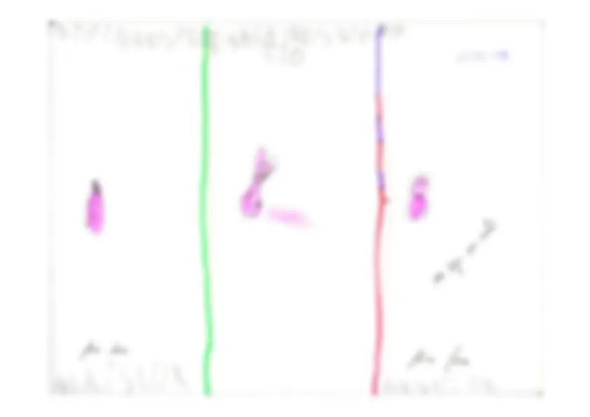 pf4c