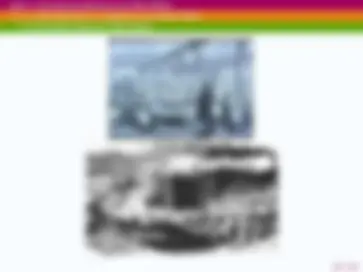 pf17