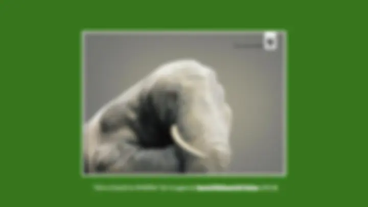 pf4