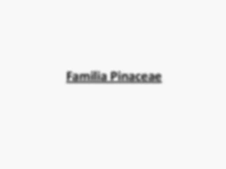 pf40
