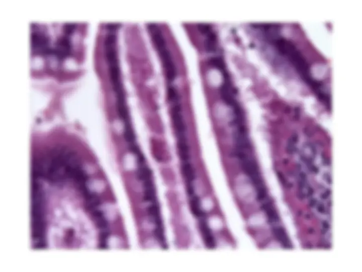 pf5f