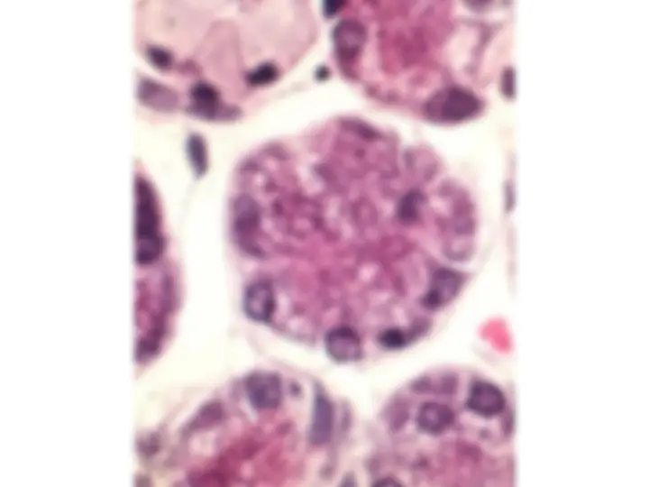 pf63