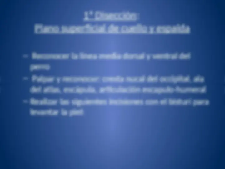 pf3