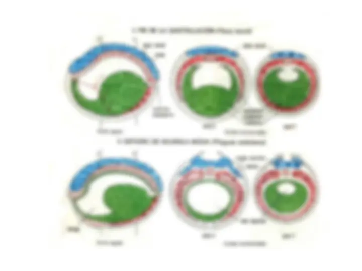 pf5