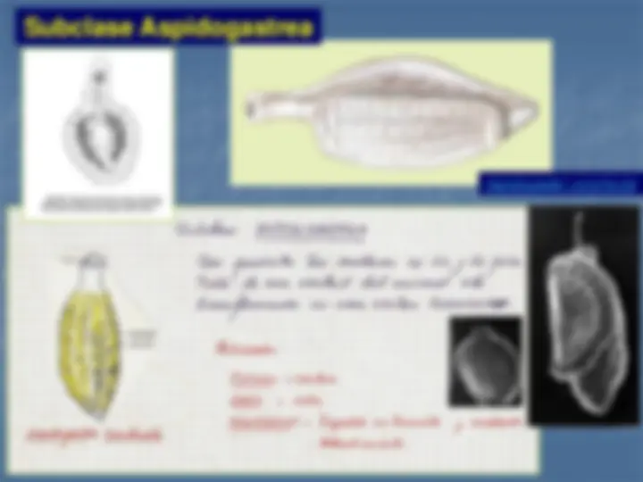 pfa