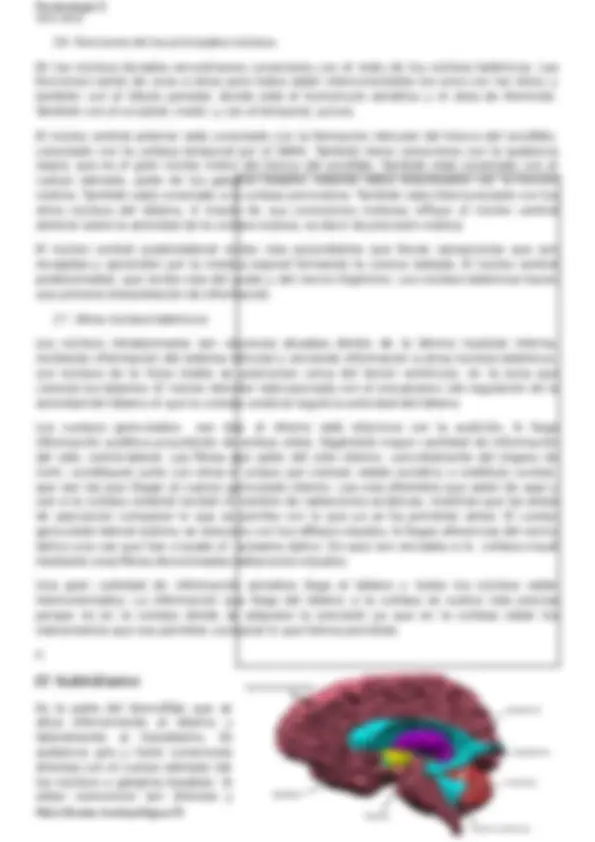 pf21