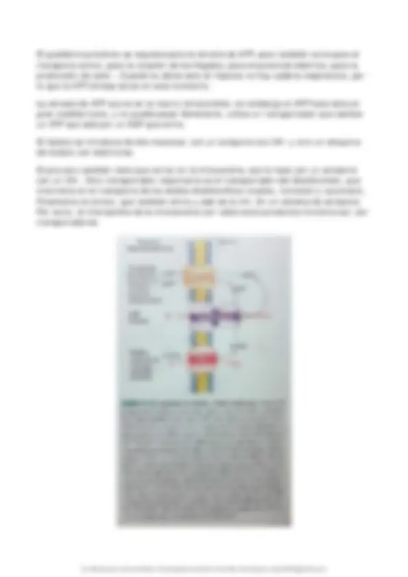 pf4d