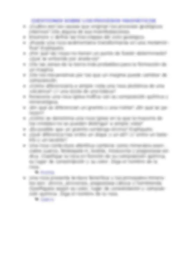 pf19