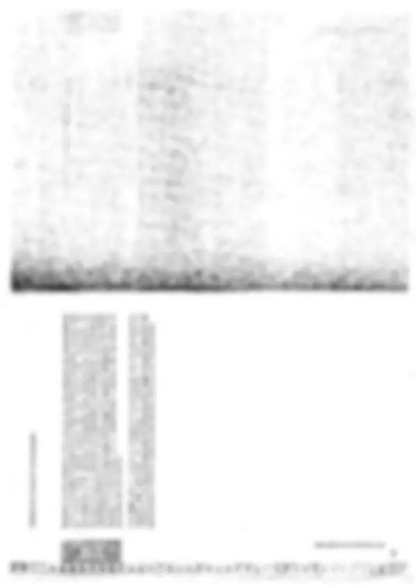 pf1b