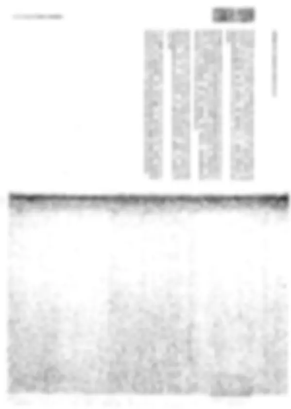 pf3e